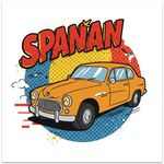 Stampa su tela decorativa EPSON Inkjet 320g senza cornice, su richiesta, dimensioni: 80x80 cm (auto)