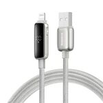 Cavo di ricarica rapida Baseus Power Visualization Series Type-C a 8 pin 20 W, lunghezza cavo: 1 m (titanio)