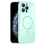 Per iPhone 11 Pro Max Custodia sottile in vetro AG con protezione della pelle MagSafe e cerchio (ciano chiaro)