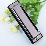 Swan 10 fori a grandezza naturale Bruce Harmonica Principianti Bambini Studenti adulti che suonano strumenti musicali