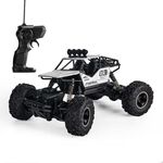 HD6141 1:16 Veicolo fuoristrada telecomandato per bambini a quattro ruote da arrampicata in montagna (argento)