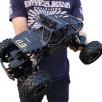 2,4 GHz 4WD Doppio Motors Fuori-Road Arampicata auto Telecomando Veicolo Telecomando, Modello: 6141 (Nero)