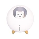 Umidificatore WT-TX5 USB Direct Insert Version Purificatore desktop Mini Planet Cat (bianco)