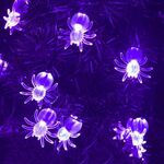Bianco caldo 3m 20LED Halloween LED Cartoon Atmosfera Luce decorativa Stringa Decorazione natalizia Puntelli (Ragno viola)