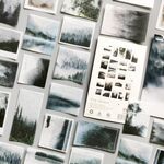 50 pezzi/pacco adesivi per manuale piccoli adesivi freschi materiale diario fai da te, stile: foresta di nebbia