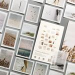 50 pezzi/pacco adesivi per manuale piccoli adesivi freschi materiale per diario fai da te, stile: poesia e lontano