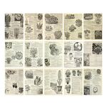 Adesivo per sfondo decorativo per giornali vintage in carta per album da 30 fogli, stile: erbe