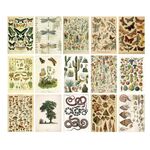 Adesivo per sfondo decorativo per giornali vintage in carta per album da 30 fogli, stile: Everything Revives