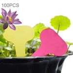 Etichetta floreale 100PCS Etichetta giardinaggio Etichetta piccola carta impermeabile Etichetta in vaso, consegna a colori casuali