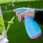 Piccolo annaffiatoio Strumenti per l'irrigazione Semina Bottiglia spray per vivaio Pressione della mano Pentola per versamento con ugello regolabile, consegna a colori casuali, Capacità: 400 ml