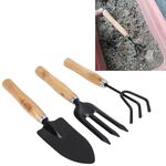 Rastrello Pala Cazzuola da scavo 3 in 1 Manico in legno Testa in metallo Mini attrezzo per piante da giardino Attrezzo per giardinaggio Attrezzi per fiori da giardino Attrezzi da giardino Set combinato