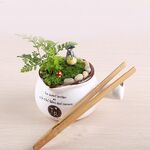 Pinzetta diritta in bambù Strumento per la pulizia delle piante Muschio Strumenti per la produzione di micro-paesaggi Pinzette per piante in bambù, Lunghezza: 18 cm