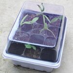 5 PCS Piantina Vassoio Germoglio Piatto 12 Fori Vasi Vasi Vassoio Coperchi Scatola Per Giardinaggio Bonsai Mini Serra Vivaio Piatto (Bianco)