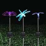 A106 3 PCS Lampada ad energia solare a LED a luce colorata, Uccello Libellula Farfalla Modello Giardino Esterno Paesaggio Percorso Luce Decorativa