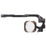 Cavo flessibile tasto home per iPhone 5S, non supporta l'identificazione dell'impronta digitale (oro)