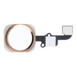Cavo flessibile tasto home per iPhone 6 e 6 Plus, non supporta l'identificazione dell'impronta digitale (oro)