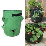 3 tasche 18L / 5 galloni borsa per piantare fragole in feltro non tessuto, dimensioni: 23X28 cm (verde erba)