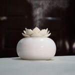 Purificatore d'aria umidificatore aromi idratante Lotus Ceramic Nano Spray (fiore bianco + ceramica bianca)