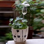 Forma di fungo Piante domestiche Fiori Alimentatore d'acqua Dispositivi automatici di irrigazione automatica in vetro trasparente (trasparente)