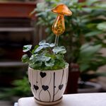 Piante domestiche a forma di fungo Fiori Alimentatore d'acqua Dispositivi automatici di irrigazione automatica in vetro trasparente (giallo)