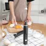 Frullino per uova elettrico da cucina Frullino per caffè al latte Miscelatore per caffè in acciaio inossidabile Mini manico
