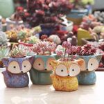 Carnoso Flower Pot Succulente ceramica Thumb Pot Fox Vaso da fiori, colore casuale di consegna