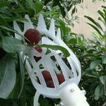 Prugna Data Albicocca Pick Fruit Plastic Tool (bianco)