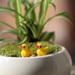 5 PCS Mini Dollhouse accessori in resina Tridimensionale piccolo giallo anatra decorazione vegetale