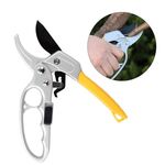 Forbici da giardinaggio manuali a risparmio di manodopera Forbici da potatura manuali a becco