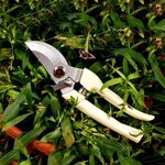 Attrezzi da giardino Cesoie da potatura in acciaio inossidabile Forbici per alberi da frutto Cesoie per rami da giardino (gomito)
