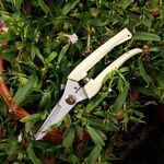2 PCS Attrezzi da giardino Forbici da potatura in acciaio inossidabile Forbici per alberi da frutto Forbici per rami da giardino (dritte)