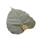Perdita di tè con filtro naturale a foglia di Bodhi di personalità creativa, specifica: foglia di Bodhi