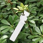 100 pezzi Giardinaggio pianta alberello Seme Seed Etichetta albero appeso (bianco)