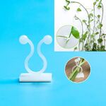 10 Pz Lulu rampicante per rampicante fixer a vite rampicante a parete con attacco, dimensioni: piccolo (bianco)