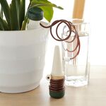 6 set dispositivo di irrigazione automatico in vaso di fiori