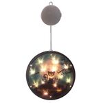 2 PCS Halloween Star String Light Show Window Decorazione horror Lampada a sospensione a LED alimentata a batteria (gatto nero)
