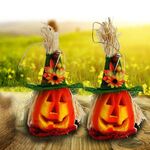 2 PCS Halloween Pumpkin Lantern Hollow Glowing Foam Bar Decorazione (cappello verde)