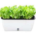 Family Balcony Rettangolare Plastica Autoborto Autoborimento Verdure Pentola Pentola Flower Pot, Stile: SC01 Pentola extra grande