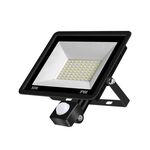 50W PIR LED Spotlight Project Project Project Light Waterproof Garden Garden a risparmio energetico Proiettore, Stile: (luce bianca fredda)