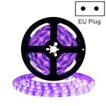 3528 SMD UV Purple Light Striscia Epossidica Lampada a LED Epossidica Striscia di luce decorativa, Stile: Impermeabile 5m (spina UE)