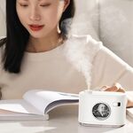 Q30 Desktop Mini Hydrating Dolphin Dolphin Umidificatore, Stile: Versione plug-in (Biancaneve)