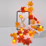 2m 10 luci a LED LED Light String, stile: foglia d'acero + ghiande