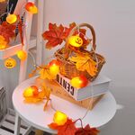 2m 10 luci a LED LED Light String, stile: zucca a foglia d'acero + ghianda