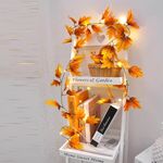 2m 10 luci a LED LED Light String, stile: foglia rombo