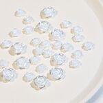 5 pacchetti SP0473 30pcs/pacchetto di strass decorativi per nail art 3d camelia (bianco argento)