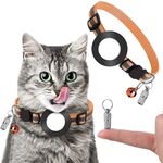 Collare con ciondolo per indirizzo anti-smarrimento per animali domestici con campanello per Airtag (arancione)