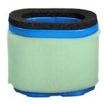 Filtro aria per Briggs & Stratton 498596 690610