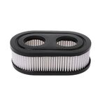 Filtro aria per Briggs & Stratton 798452 593260