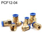 PCF12-04 Connettore rapido pneumatico dritto con filettatura femmina LAIZE