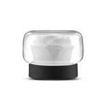 Umidificatore a tempo con diffusore per aromaterapia alla rosa da 400 ml con luce a sette colori, spina CN (grigio)